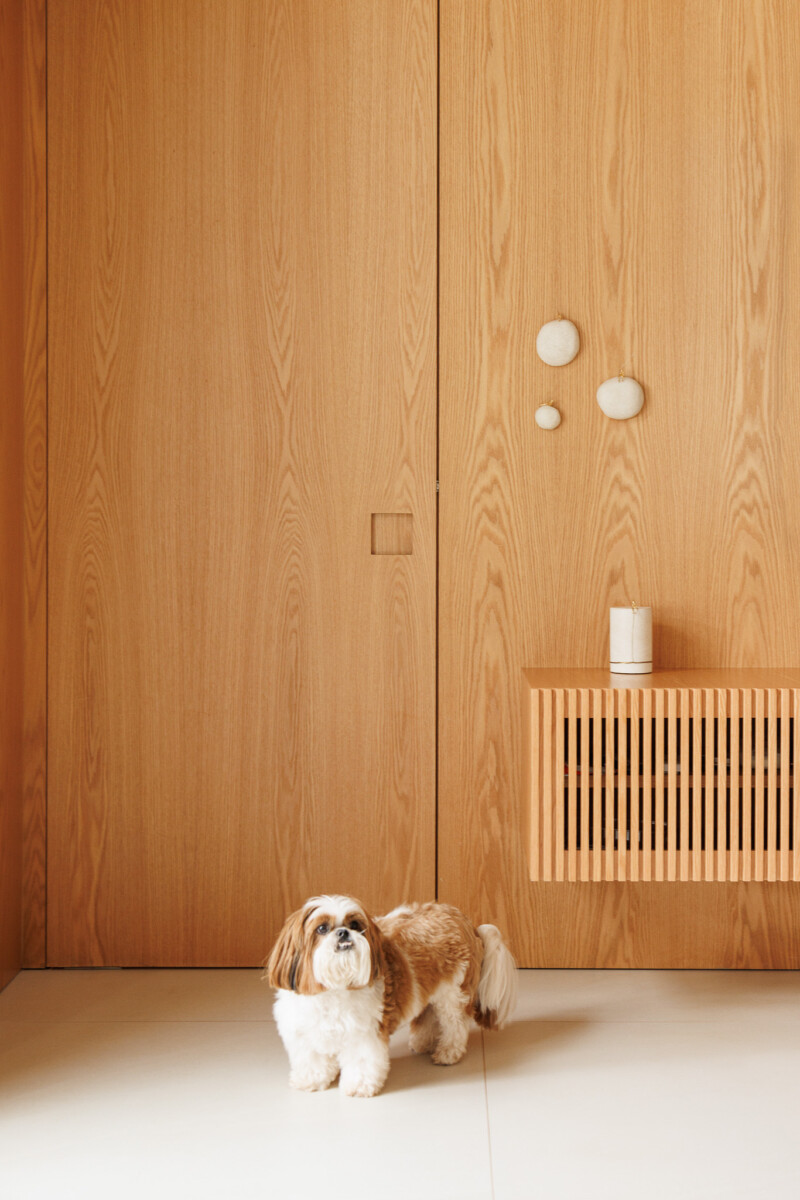 08-casa-tf-area-gourmet-jau-arquiteta-monique-bordin-foto-daniel-santo